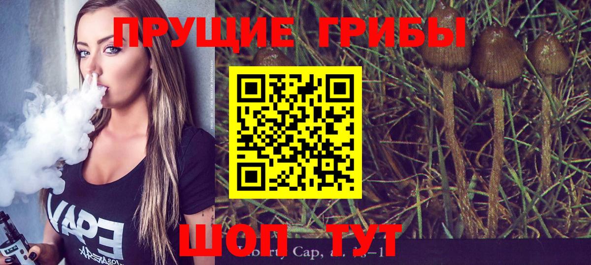 Галлюциногенные грибы мицелий Прокопьевск