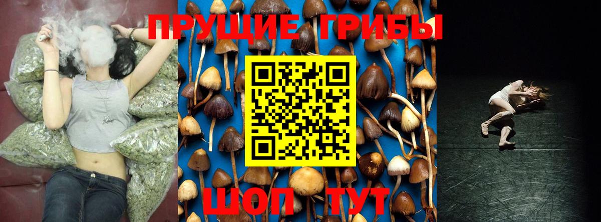 Псилоцибиновые грибы ЛСД  Вход с VPN  дарнет шоп  Прокопьевск 